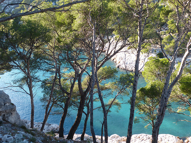 Calanque de PORT PIN