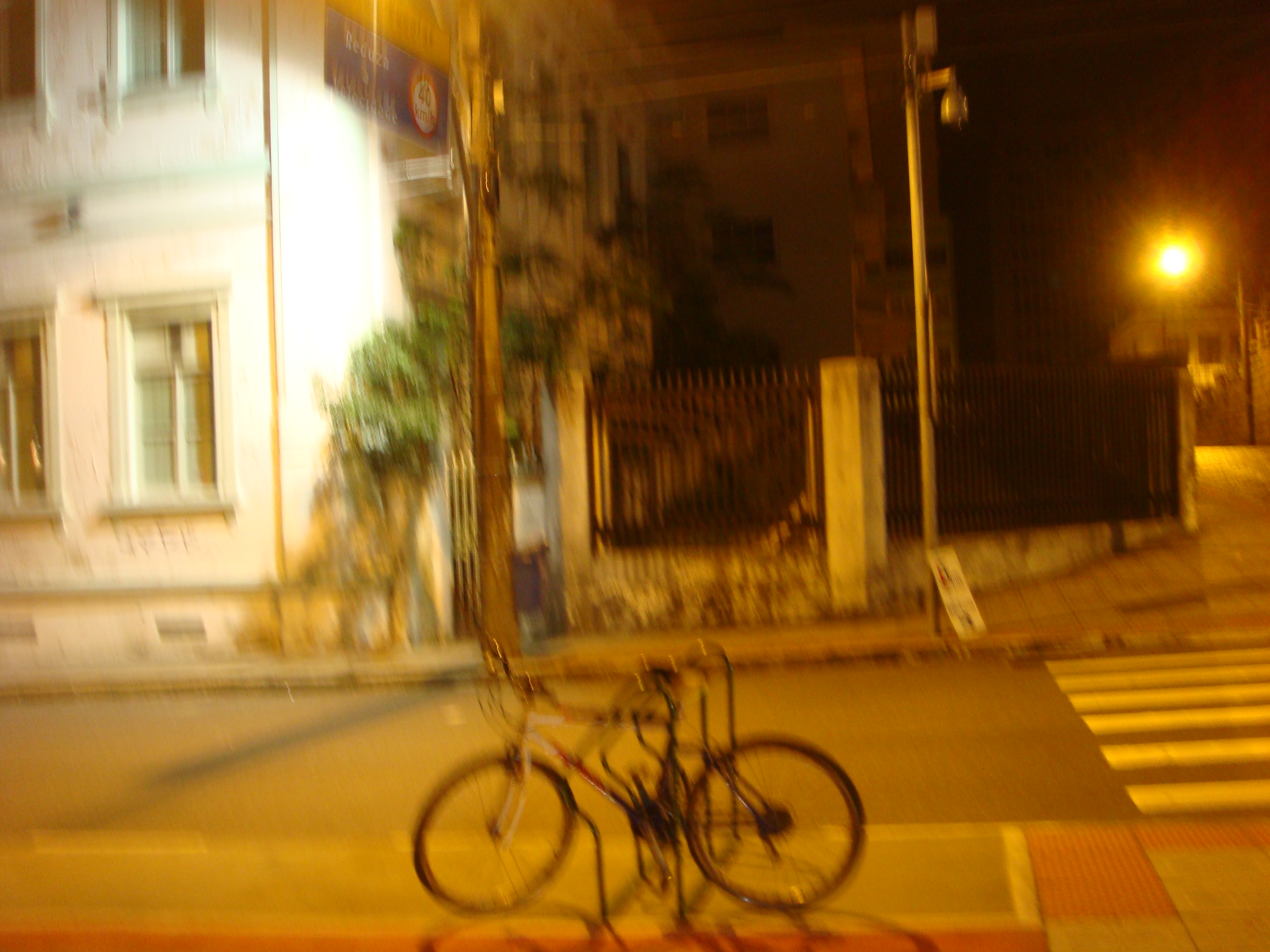 DSC06305