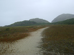 DSC09272