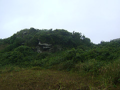 DSC09276