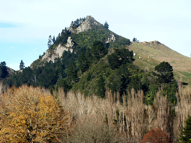 Above  Lake Whakamaru