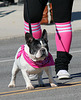 DHS Holiday Parade 2012 (7623)