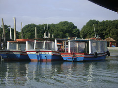 DSC09390