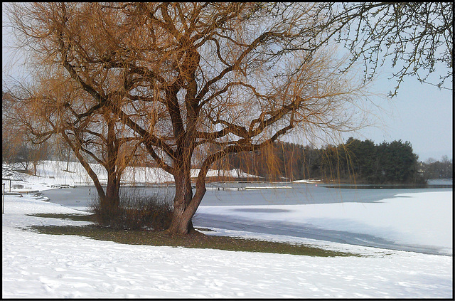 Winter am Schlosssee