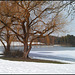 Winter am Schlosssee