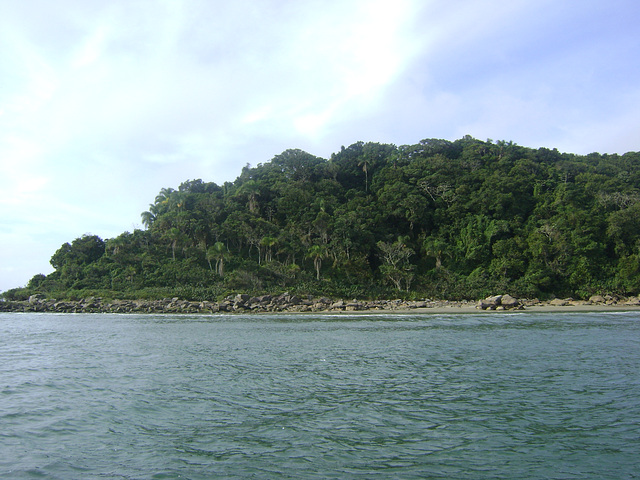 DSC09406