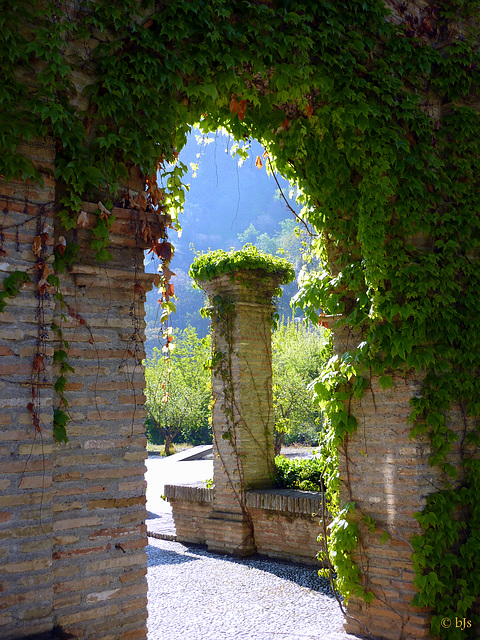 Passer vers la lumière