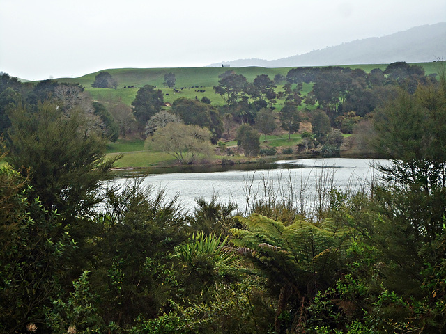 Above Waikato River near Jones Landing