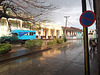 Pluie cubaine au petit matin / Early morning cuban rain