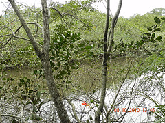 DSCN2464