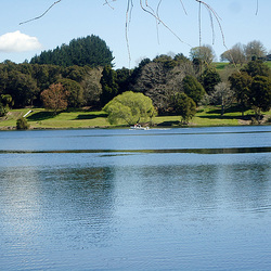 West side of Jones Landing