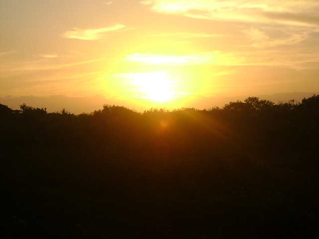 DSC09444