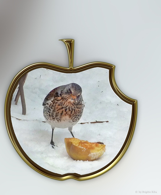 two apples ... one bird :-)