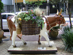 DSC09181