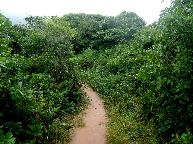 DSC09282
