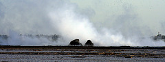 At The New Mud Volcanoes (8436)