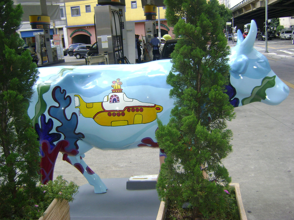 DSC09231