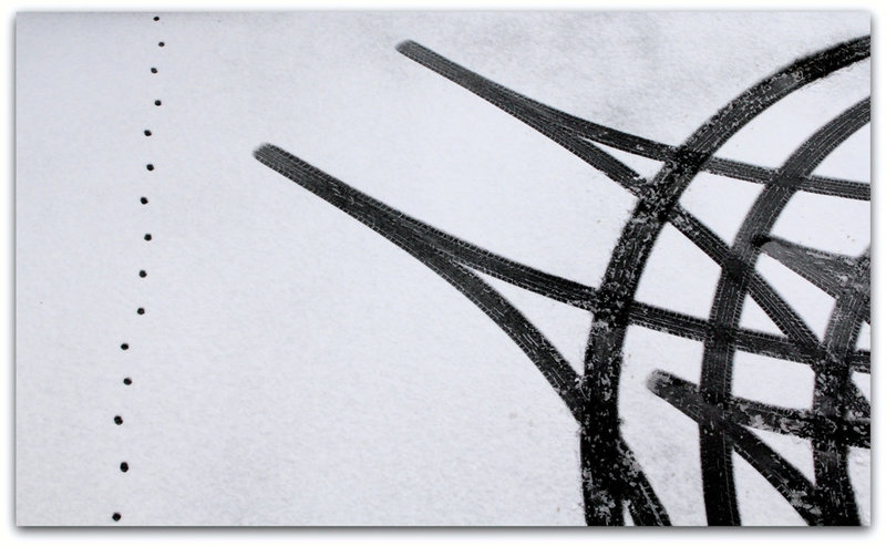 Traces de vie