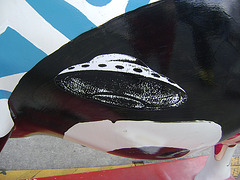 DSC09241