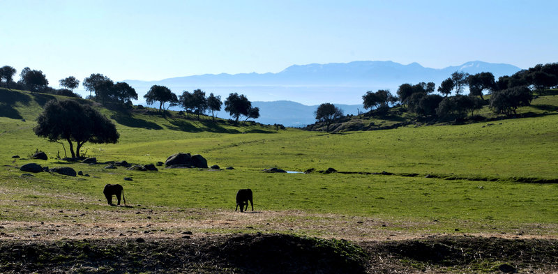 Reserva natural de toros bravos