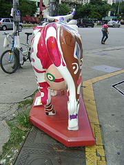 DSC09244