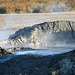 At The New Mud Volcanoes (8453)