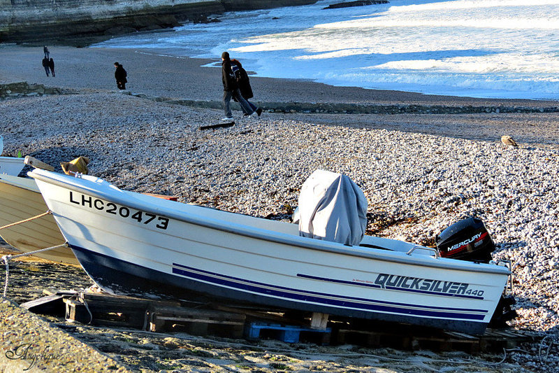 25 novembre 2012 ( Etretat) 486