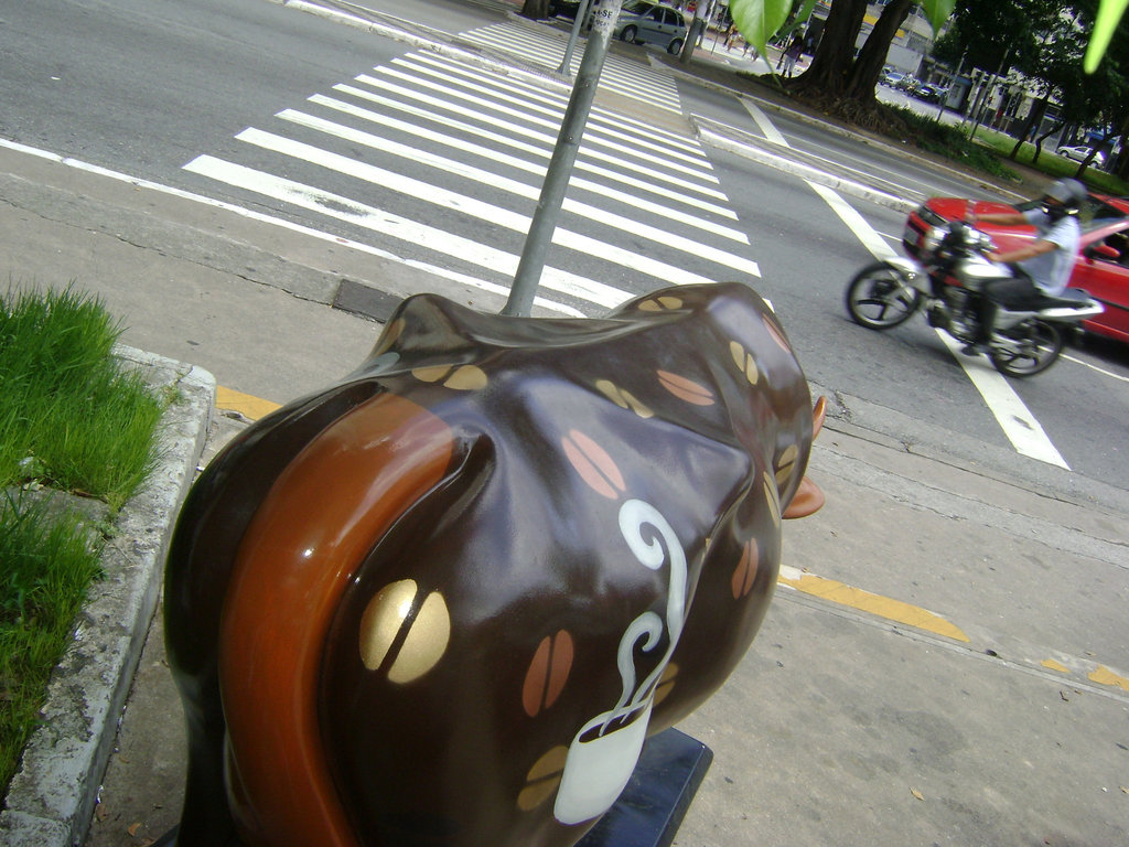 DSC09272