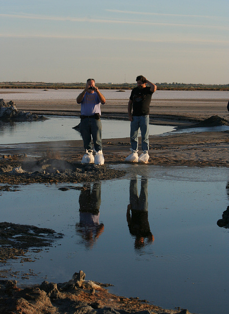 At The New Mud Volcanoes (8462)