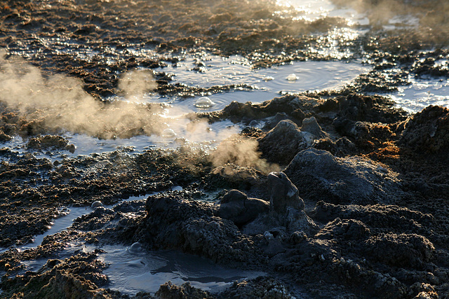 At The New Mud Volcanoes (8463)