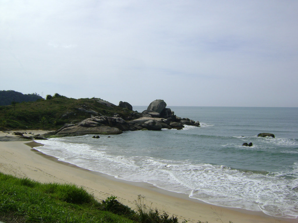 DSC07896