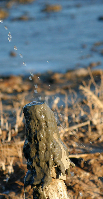 At The New Mud Volcanoes (8469)