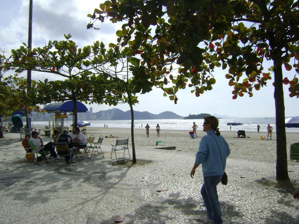 DSC07907
