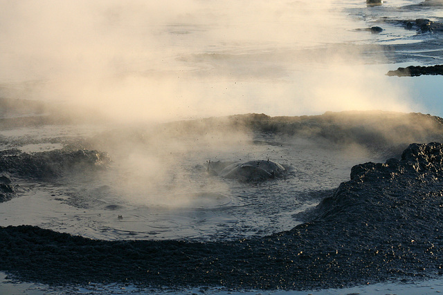 At The New Mud Volcanoes (8476)