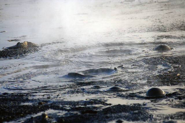 At The New Mud Volcanoes (8478)