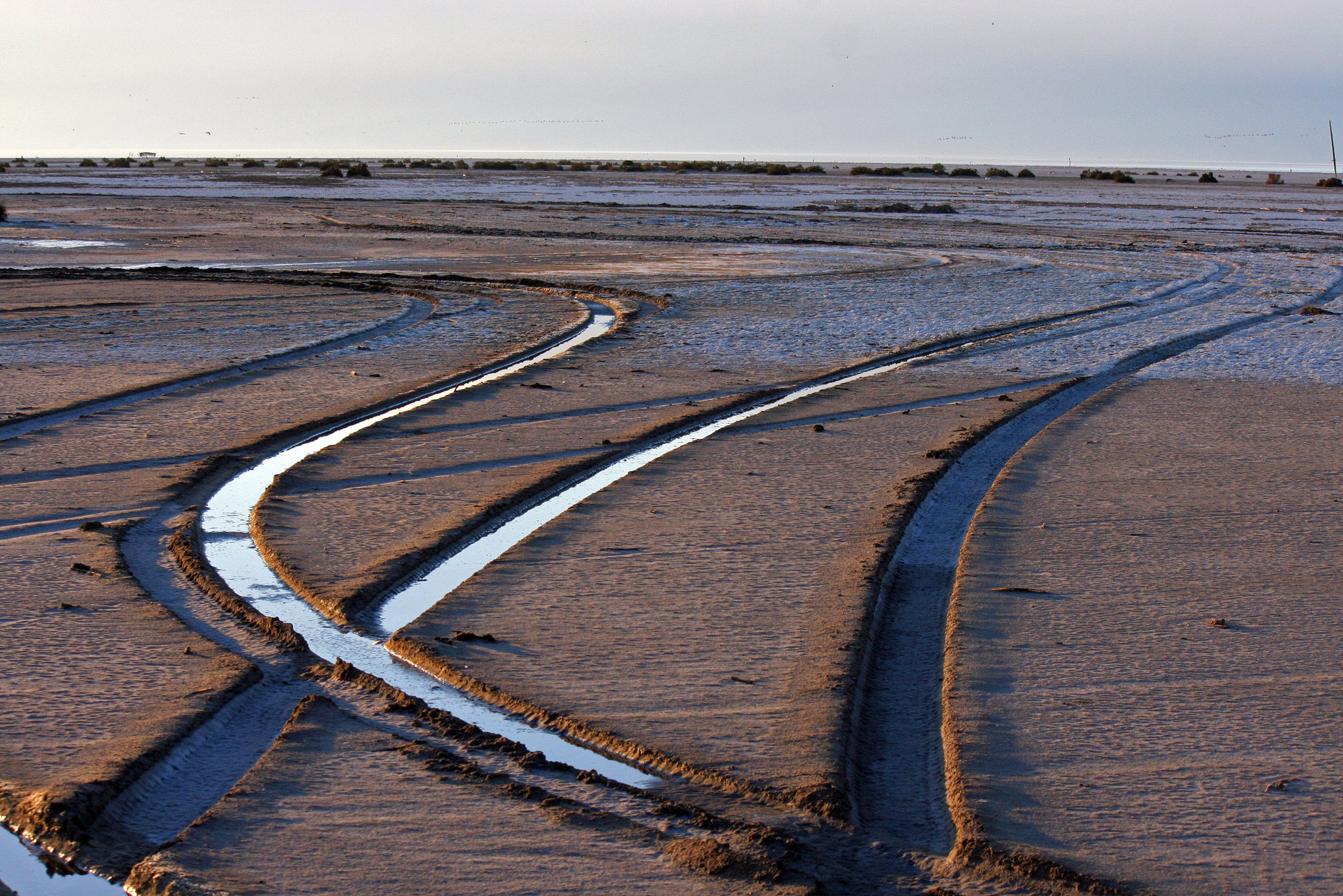 At The New Mud Volcanoes (8481)