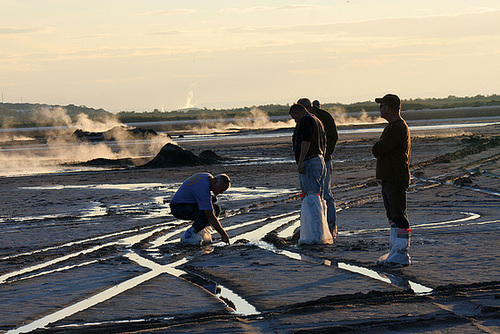 At The New Mud Volcanoes (8482)