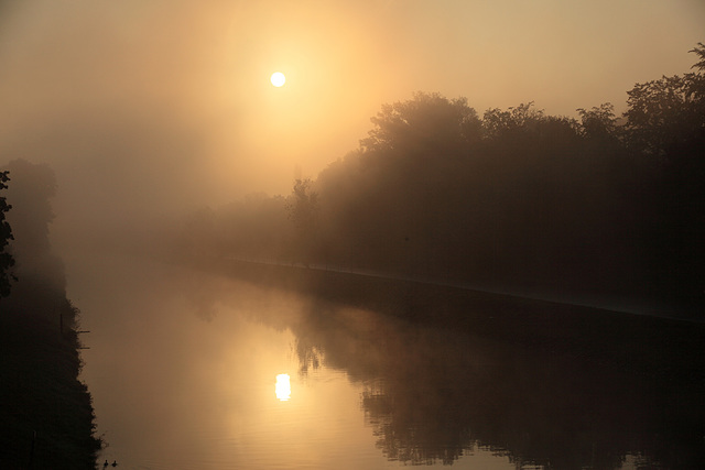 Foggy Morning