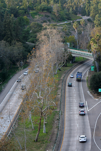 Balboa Park (8413)