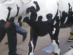 DSC09808