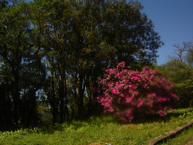 DSC01151