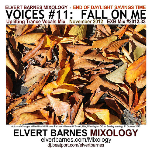 CDCover.Voices11.FallOnMe.Trance.EndDST.November2012