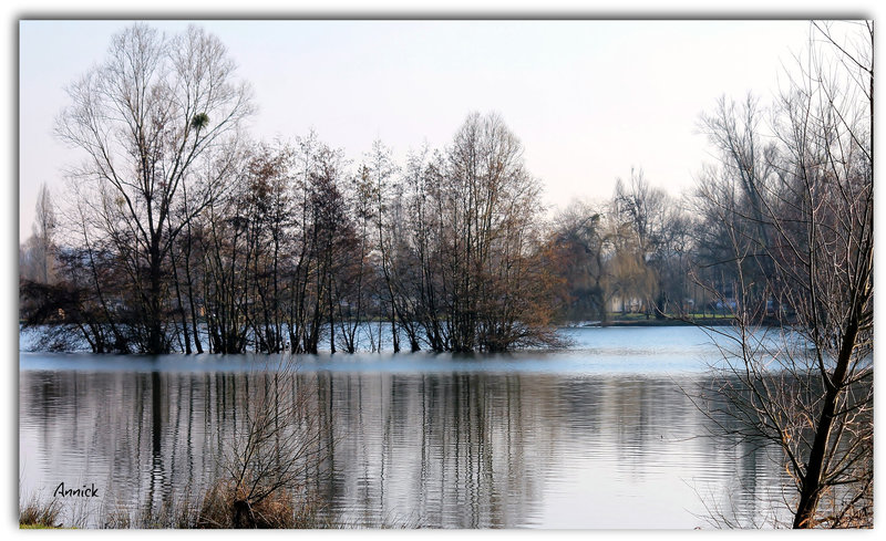 reflets et lumière sur l'étang