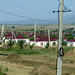 Near the South Ossetia Border- Refugee Camp