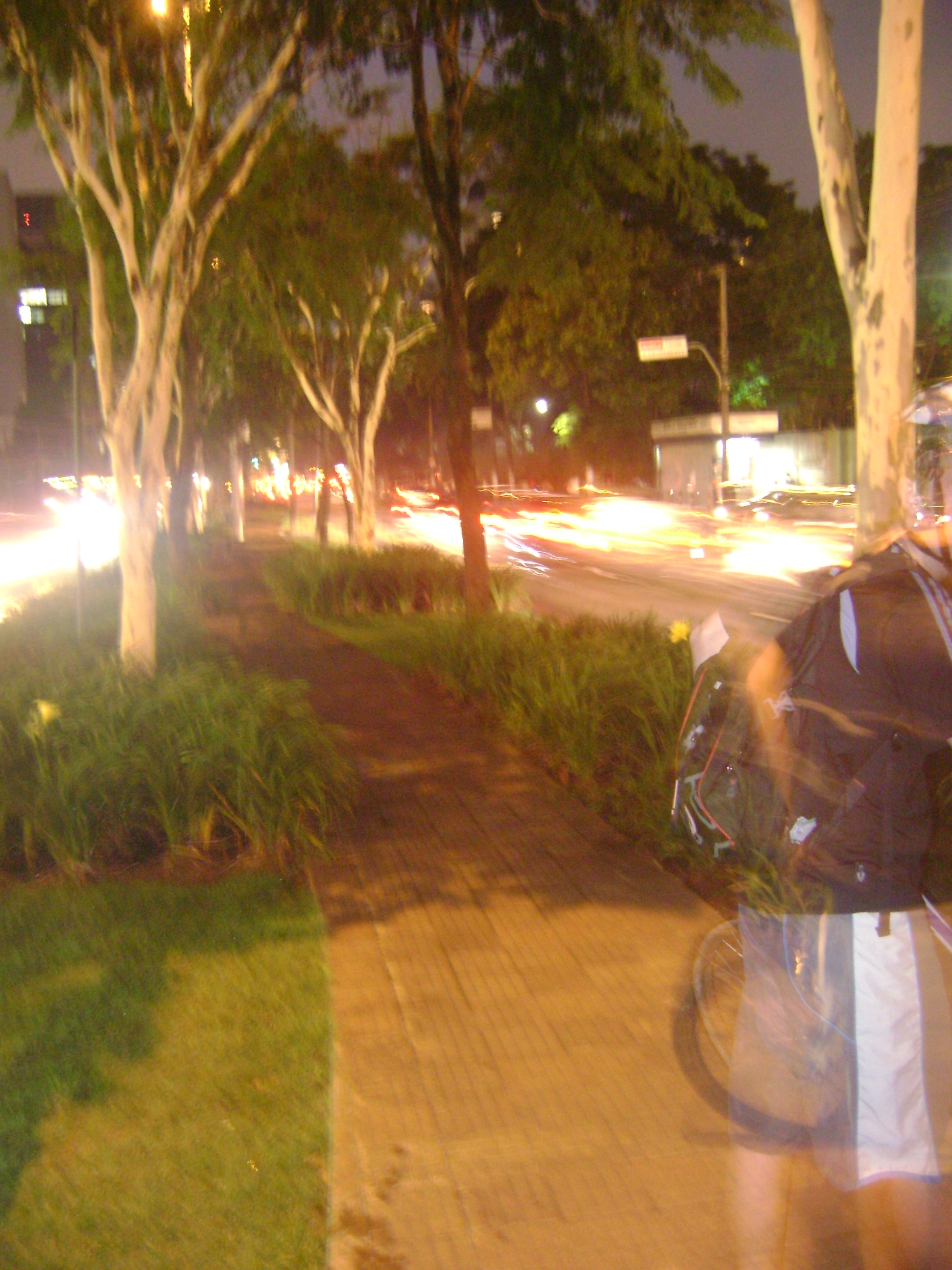 DSC09938