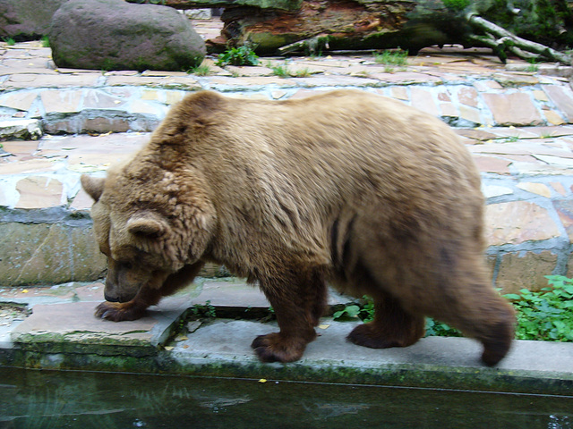 Zoo Augsburg