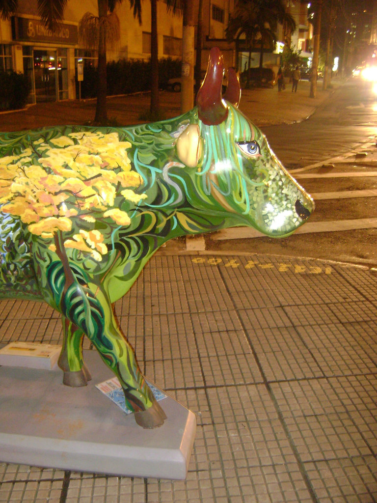 DSC09970