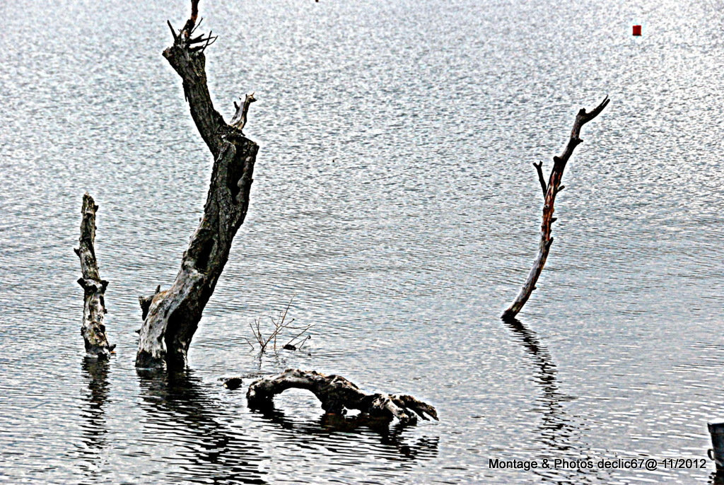 vestiges....