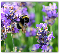Have a nice week-end ! Have a nice week-end !