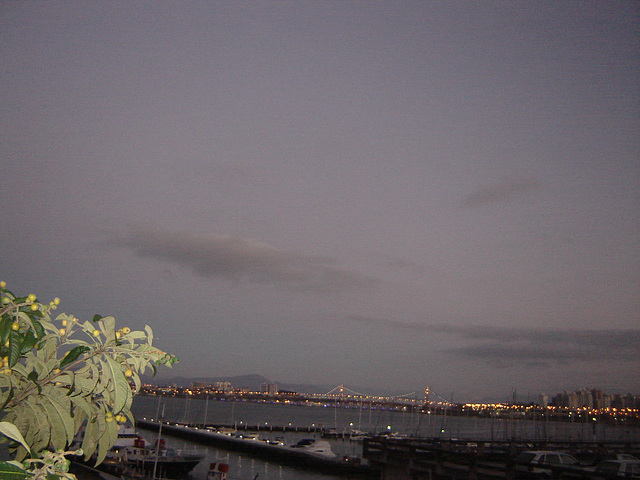DSC01251
